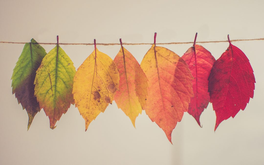 Communication evolution